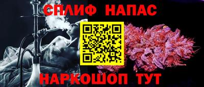 тгк Будённовск