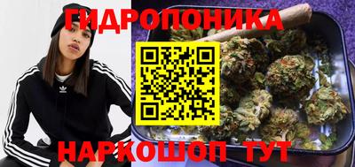 сатива Бузулук