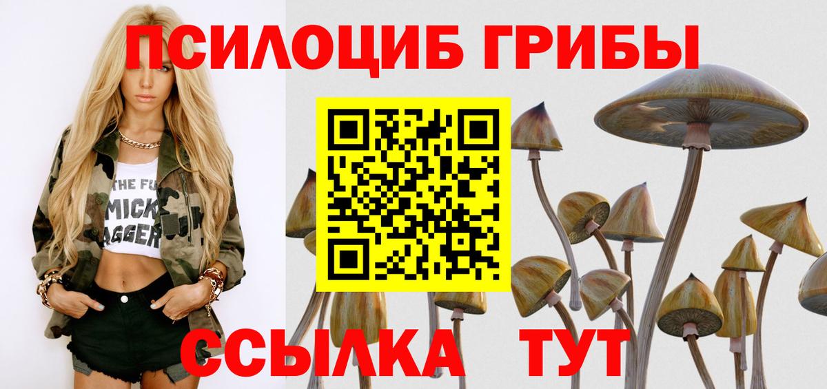 Галлюциногенные грибы мухоморы Саянск