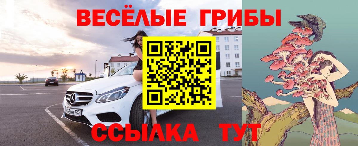 где продают наркотики  Галлюциногенные грибы прущие грибы  Вход с VPN  Саянск 